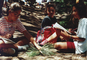 Ponderosa Study Group